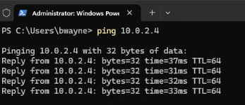 Ping successful